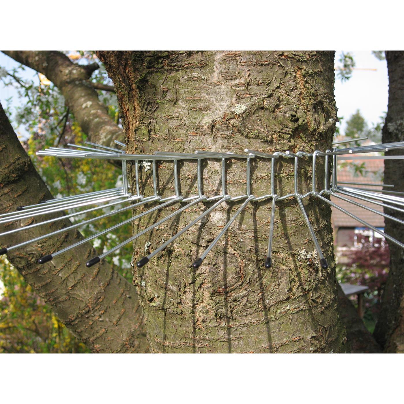 Schwegler Katzenabwehrgürtel bis 115 cm Baumumfang