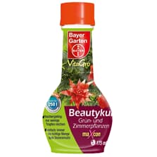 Bayer Beautykur Grun Und Zimmerpflanzen 175 Ml