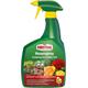Substral Rosenspray Schädlingsfrei Careo ECO Spritzmittel für Zierpflanzen 1 Liter