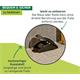 Windhager Rattenfalle SNAP leicht zu entleeren, wiederverwendbar mit Schutzmechanismus